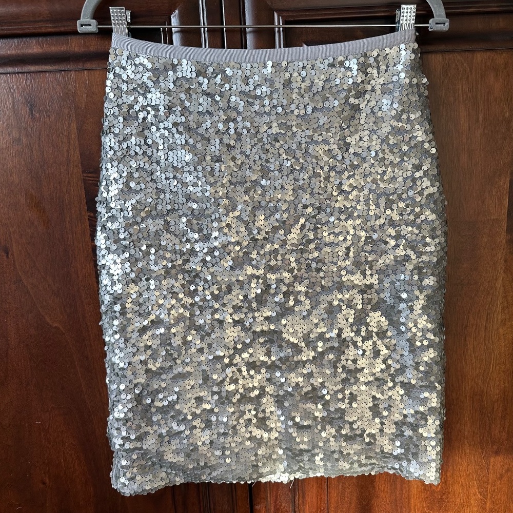 J. Crew Silver Sequin Party Mini